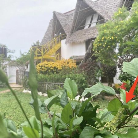 Botanica Eco Lodge Michamvi Zewnętrze zdjęcie