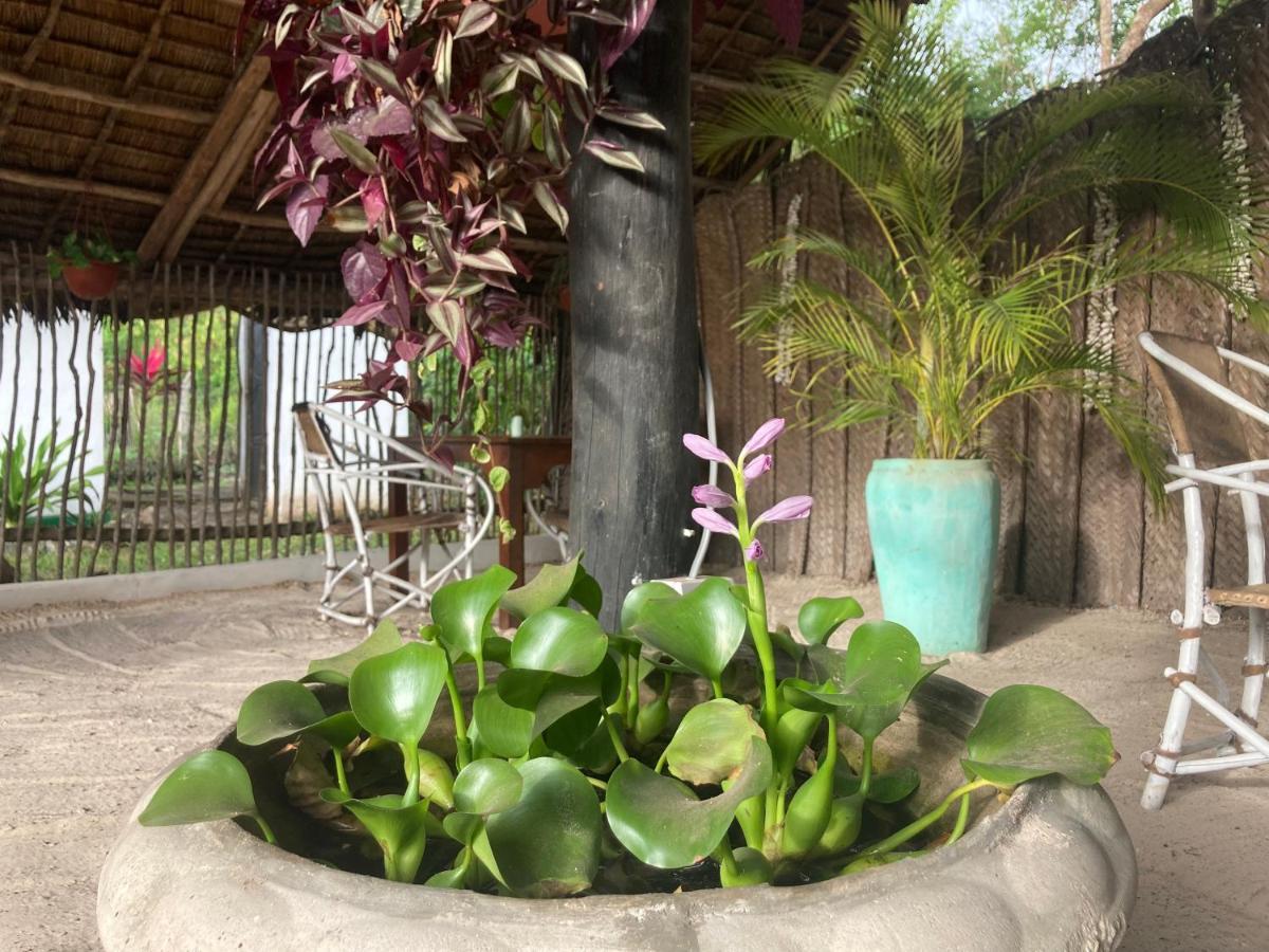 Botanica Eco Lodge Michamvi Zewnętrze zdjęcie