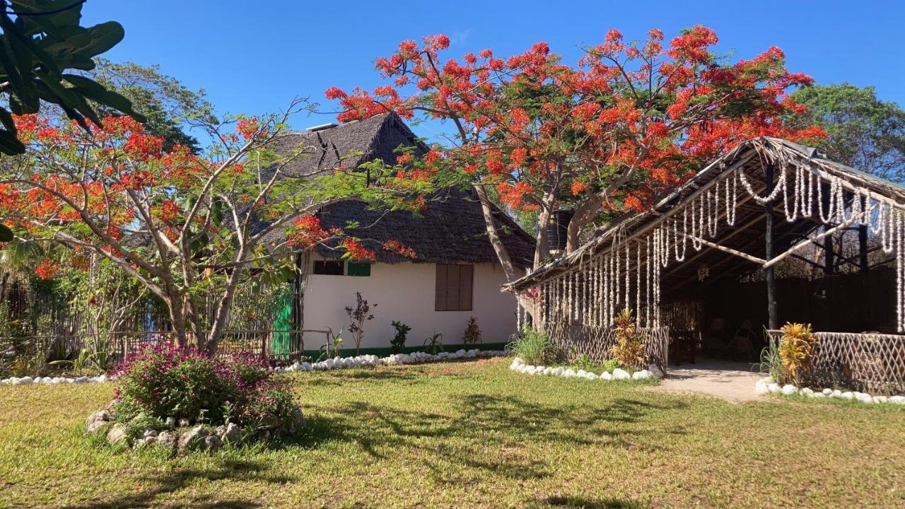 Botanica Eco Lodge Michamvi Zewnętrze zdjęcie