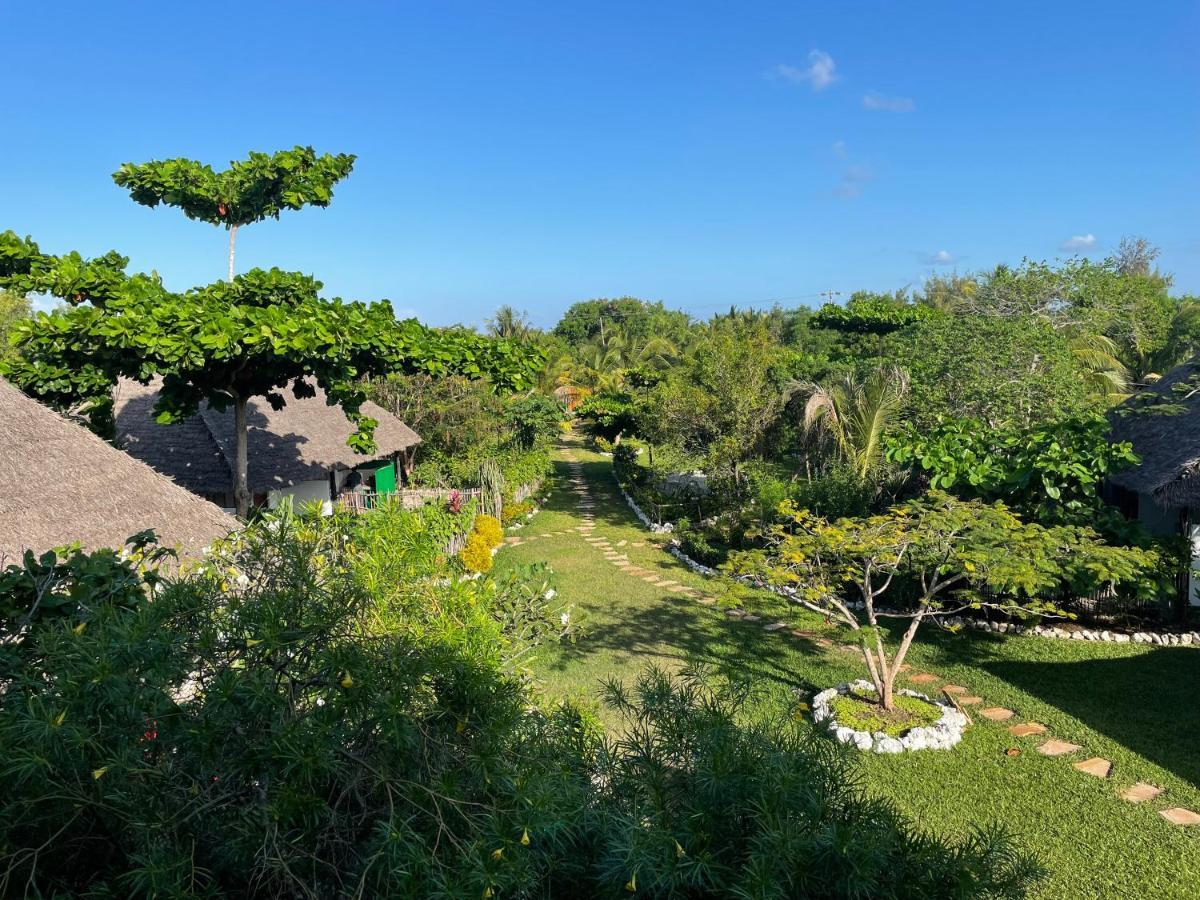 Botanica Eco Lodge Michamvi Zewnętrze zdjęcie