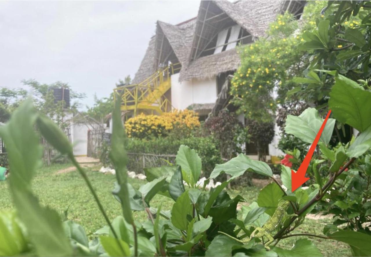 Botanica Eco Lodge Michamvi Zewnętrze zdjęcie